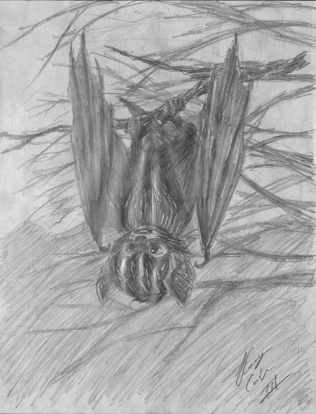 The Little Silver Haired Bat By Taqresu650 On Deviantart