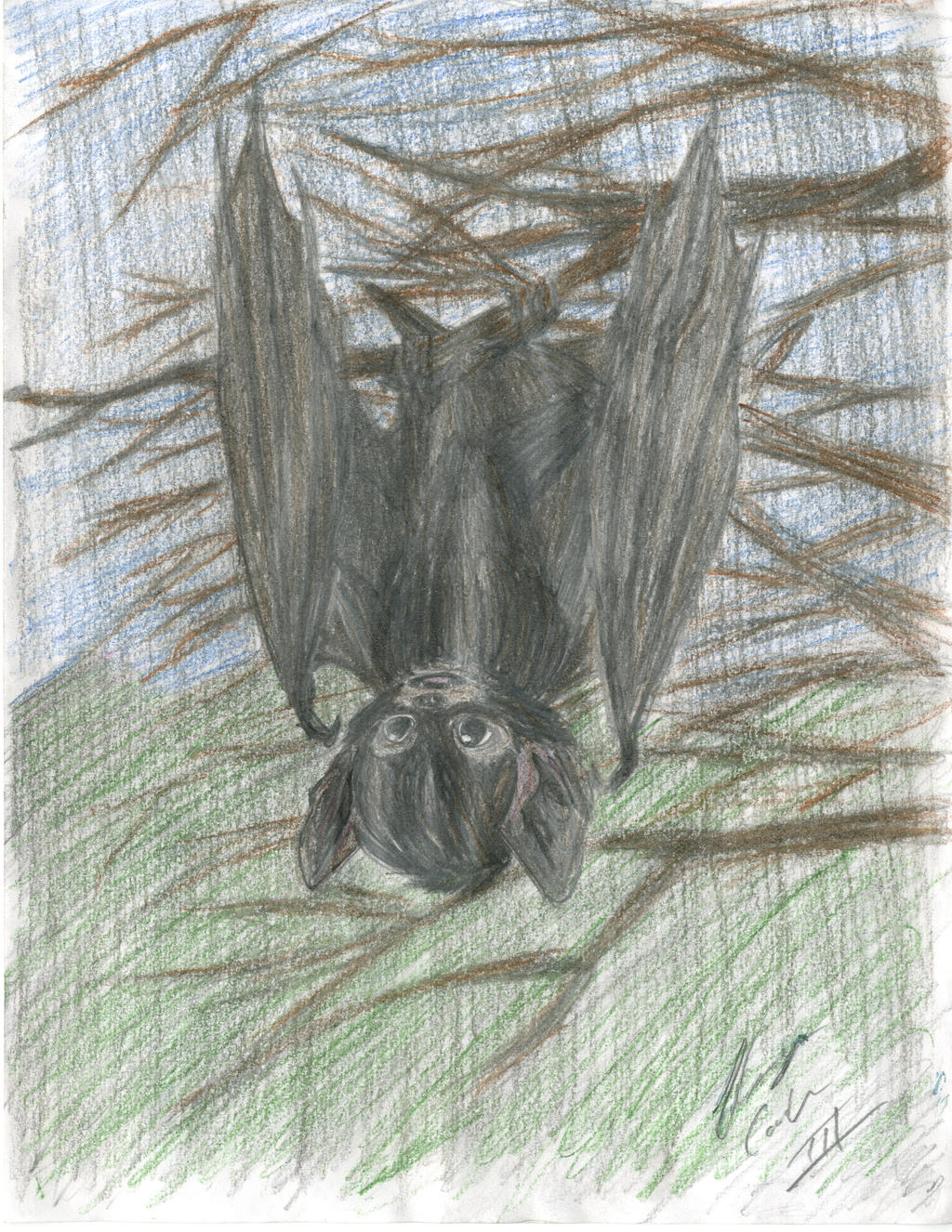 The Little Silver Haired Bat Colored By Taqresu650 On Deviantart