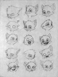 More Cat Expression Practice