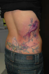 bird cover-up