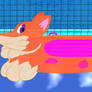 Poolfox (Flats)