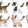 Kitten adoptables | OTA | CLOSED