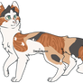 Custom adoptable | 10