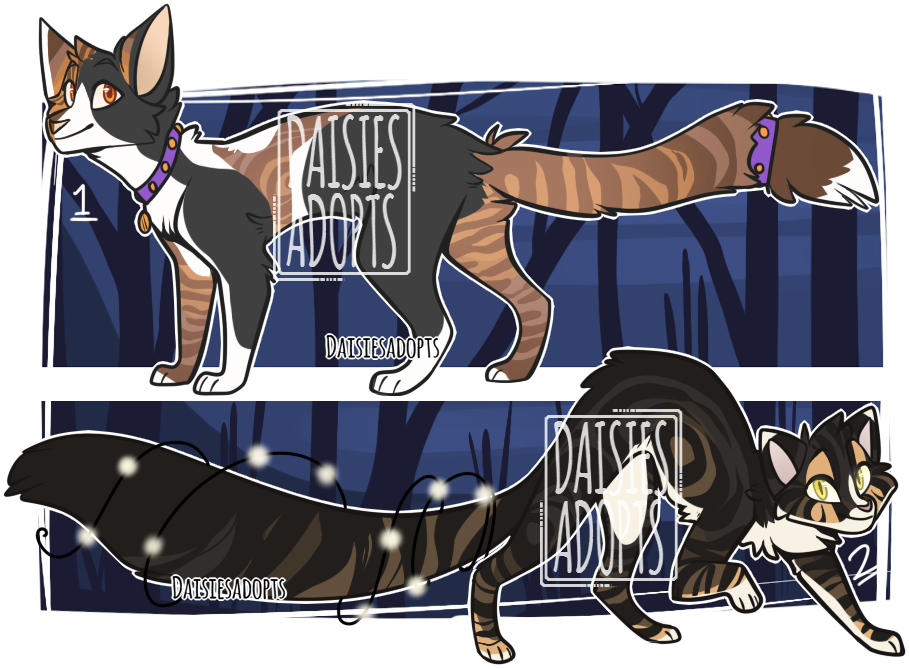 Cat adoptables | Auction | CLOSED