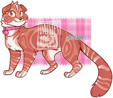 Cat adoptable | Auction | CLOSED