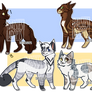 Cat adoptables | Auction | CLOSED