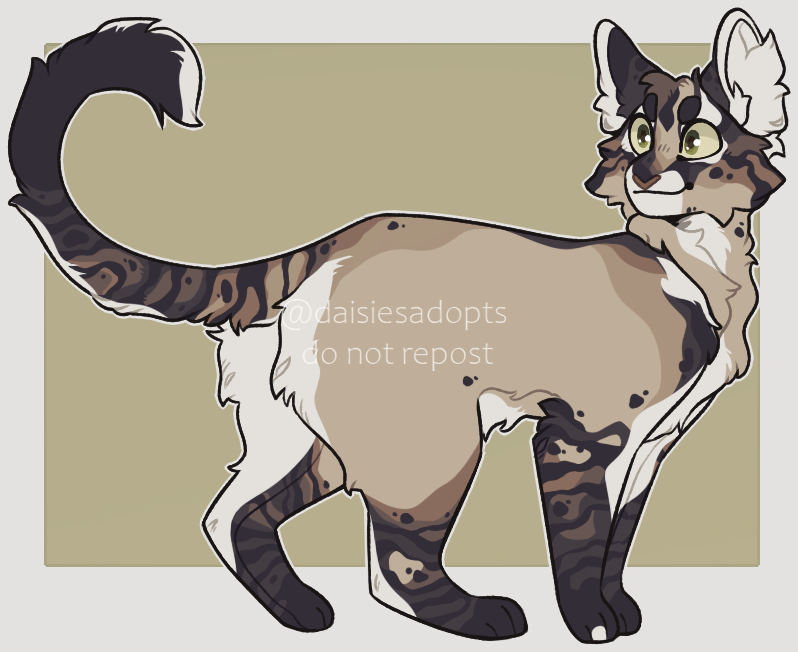 Cat adoptable | Auction | CLOSED by DaisiesAdopts on DeviantArt