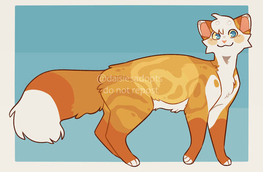 Cat adoptable | Auction | CLOSED