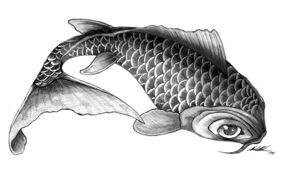 Final Koi Fish Drawing