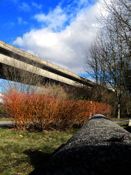 SkyTrain