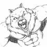 Wolf Scribble