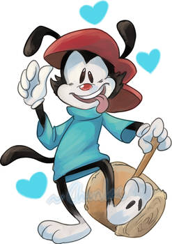 Wakko