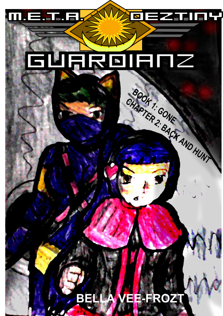 META Destiny Guardianz B1 C2 Cover