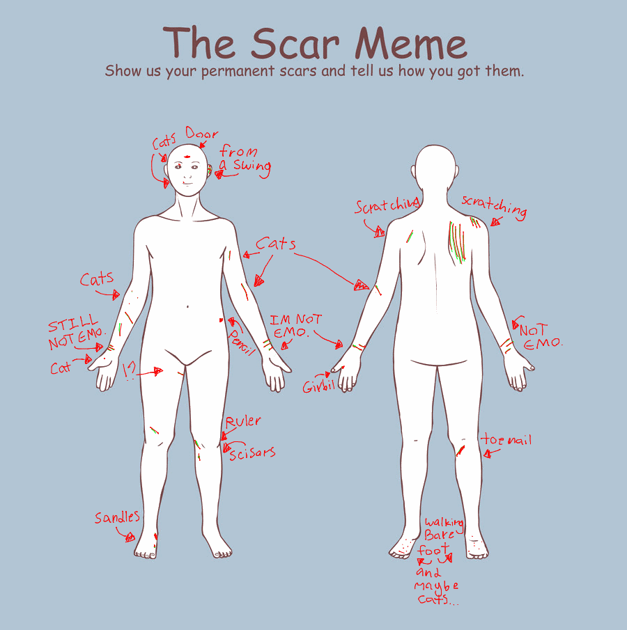 Scar Meme