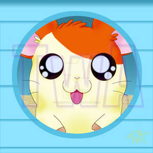 Hamtaro