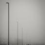 Walk in the Fog 1