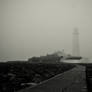 Walk in the Fog 3