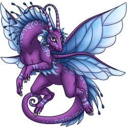 Fairy dragon 4 Marcinek