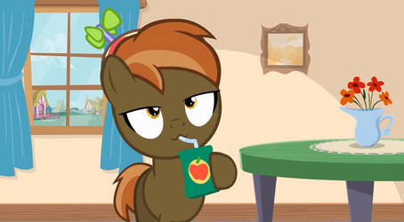 I like to drink the Apple Juice