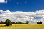 Swedish Summer 01 by Stilfoto