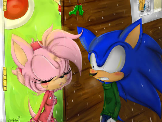 Sonamy winter