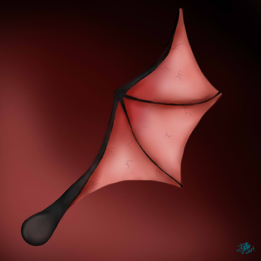 Deviantart Bat Winged Bat Wing by Faithanater on DeviantArt