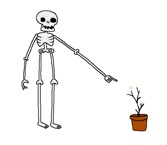 The Skeleton and the Flower Pot