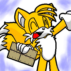 Tails' Graham Crackers