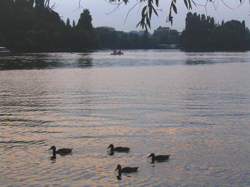 On the Lake we float