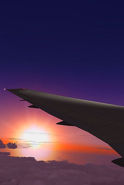 Sunset Wing