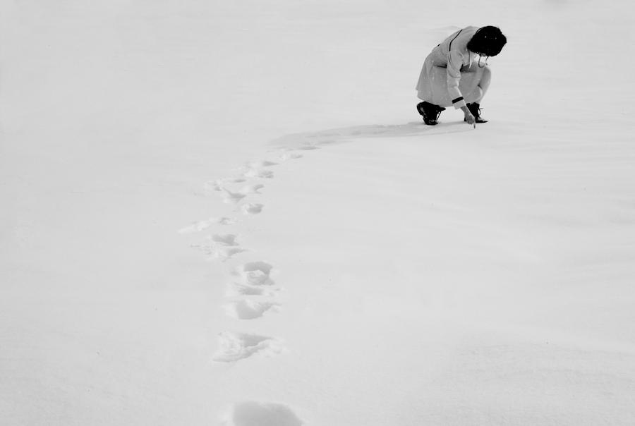 +Full Moon+ by Silver-Bambi on DeviantArt