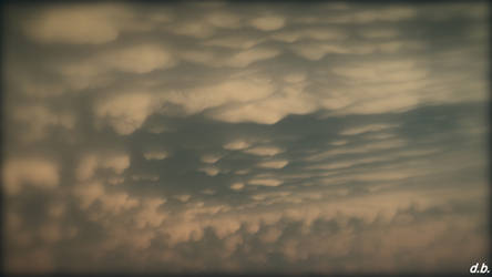 Amazing Bed of clouds by d.b.