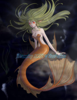 Under the Sea