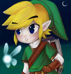 Link and Fairy