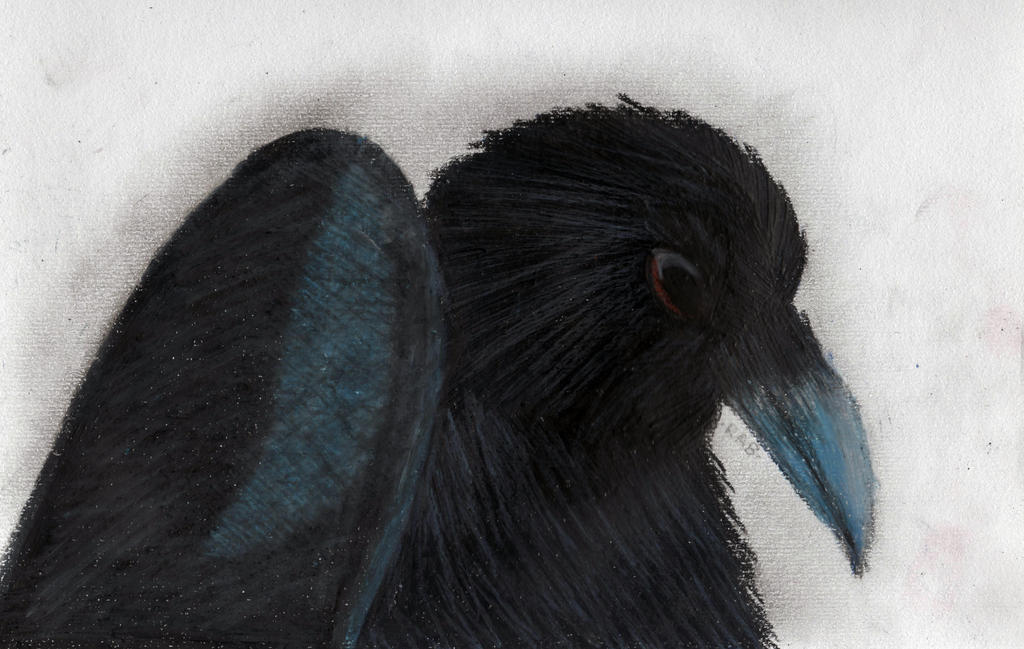 Oil Pastel Crow