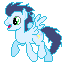 Ponymon: Soarin