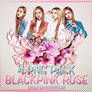 BLACKPINK Rose 4 PNG PACK #1 by liaksia