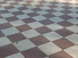 Floor Mosaic
