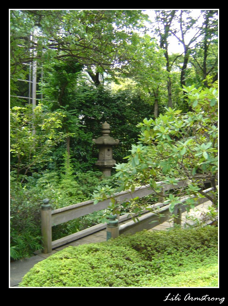 Lush Bridge