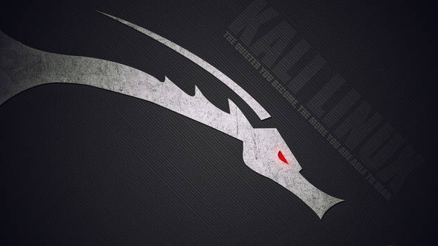 Kali Linux (1366x768)