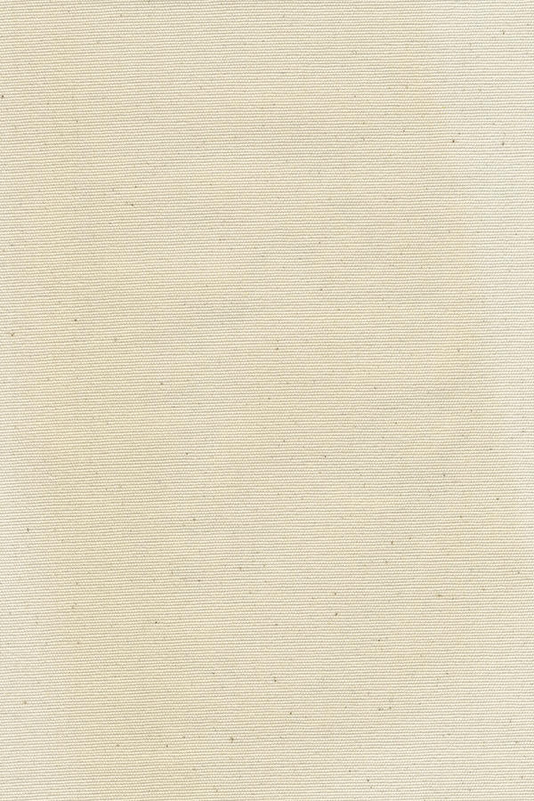 Canvas Texture