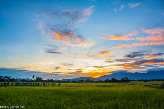 Solitude Evening