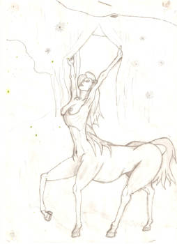 centaur woman