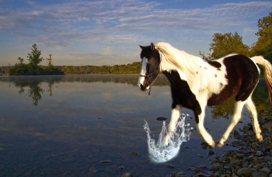 Splashing Through The Water