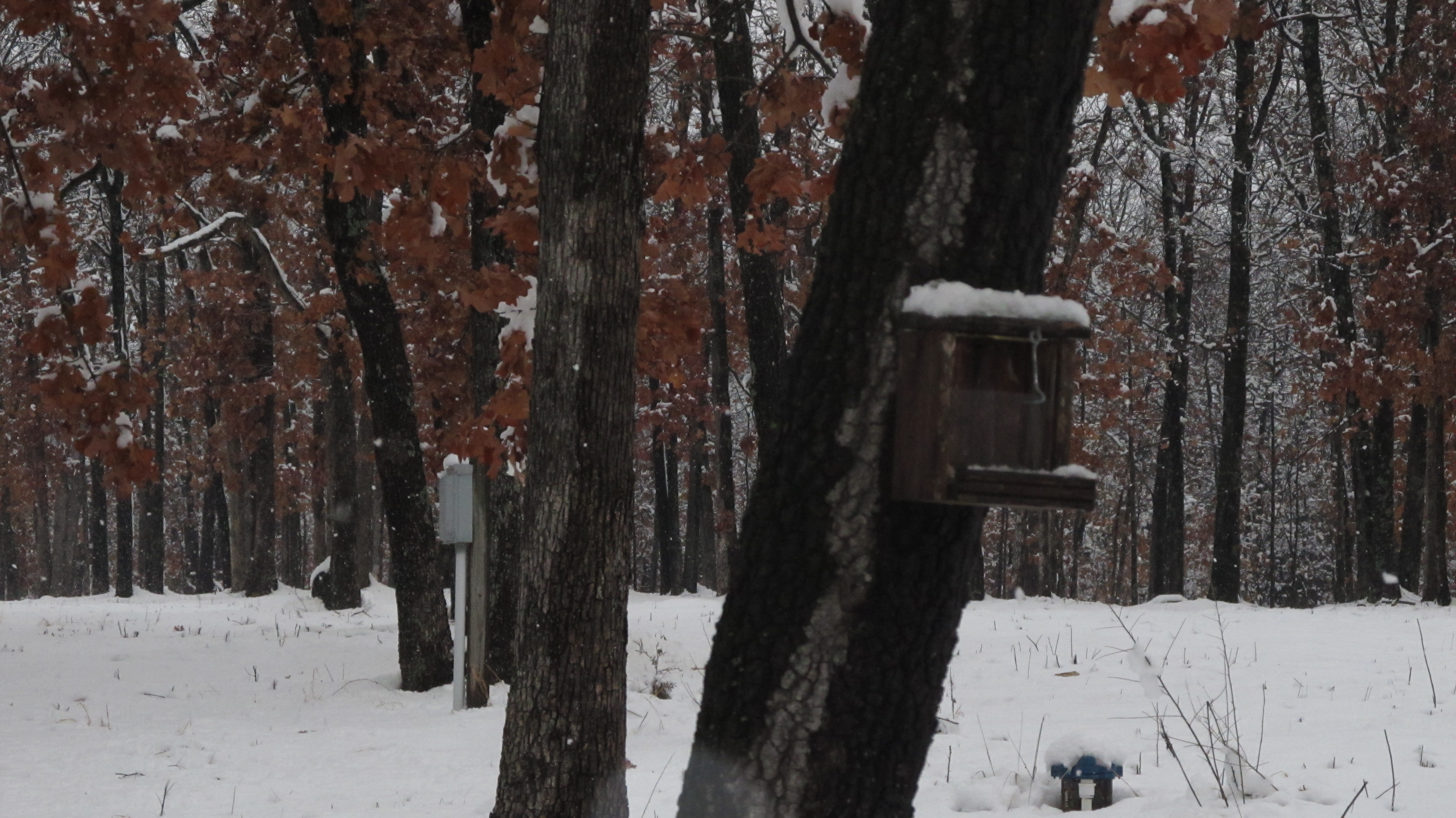 A Cold and Snowy Day