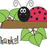 Ladybug Thanks