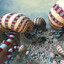 Stripes