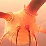 Hot Bulb