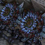 Blue Fractal Flowers