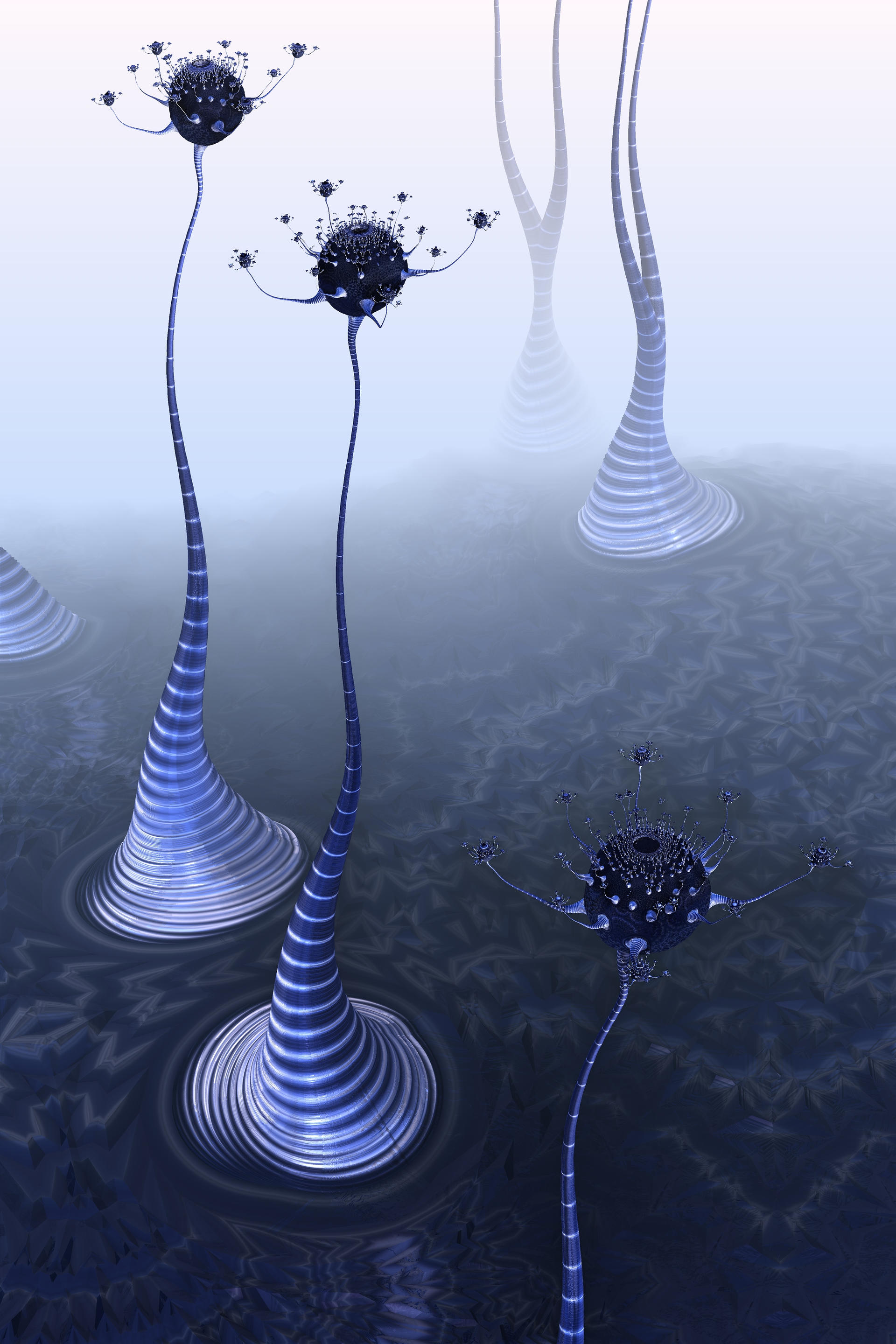 Coral Polyps by recycledrelatives on DeviantArt